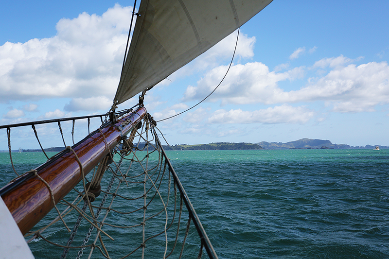 Sail on the R Tucker Thompson, Bay of Islands, NZ